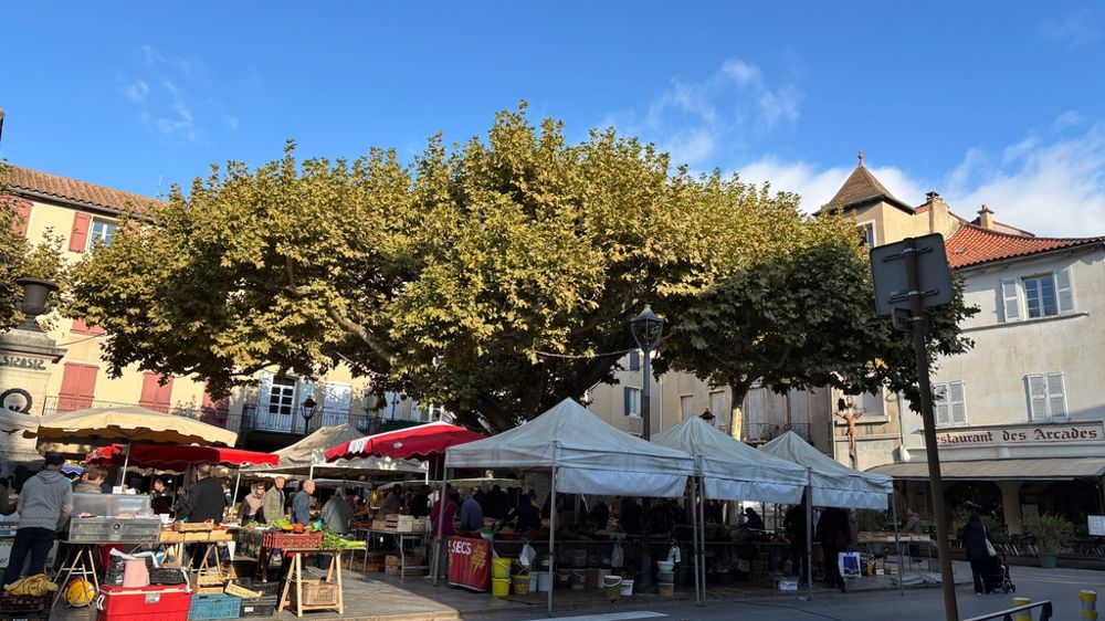 Marché de pays Millau